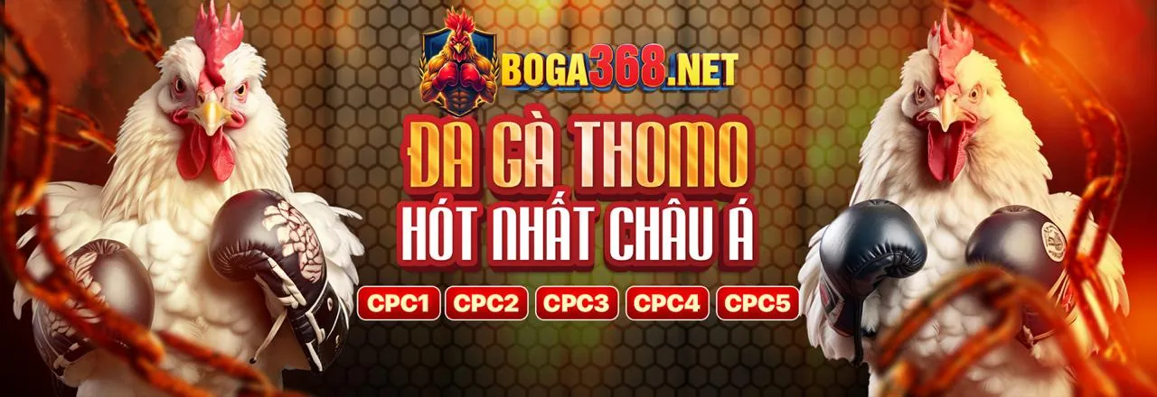 Cá cược trực tiếp tại lu88 khuyến mãi